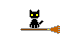 Black cat riding on a broom