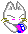 Cat swatting at a purple thing