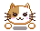 Orange and white kitty cheering