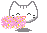 Cheering kitty