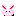 Pink bunny