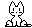 White kitty cat