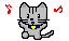 Dancing kitty